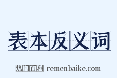 表本反义词是什么意思的图片